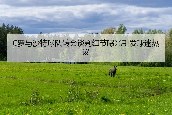 luo-yu-sha-te-qiu-dui-zhuan-hui-tan-pan-xi-jie-bao-guang-yin-fa-qiu-mi-re-yi-2-582.jpg